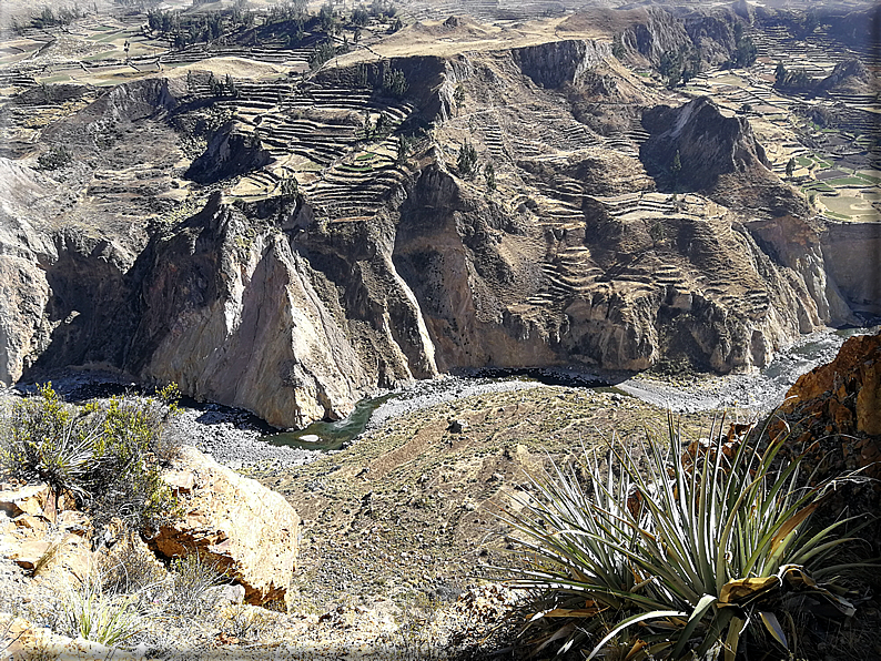 foto Canyon del Colca